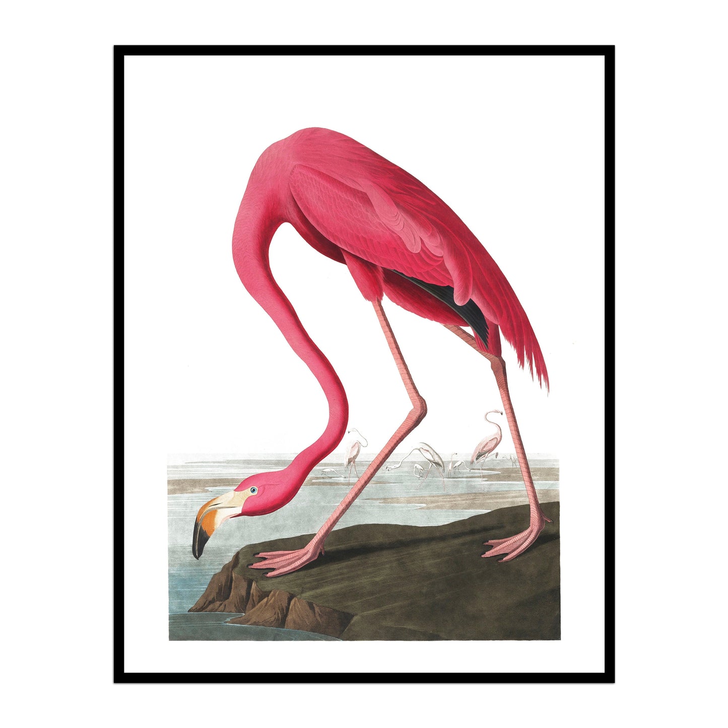 Vintage Flamingo on the Rock