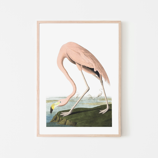 Vintage Flamingo on the Rock