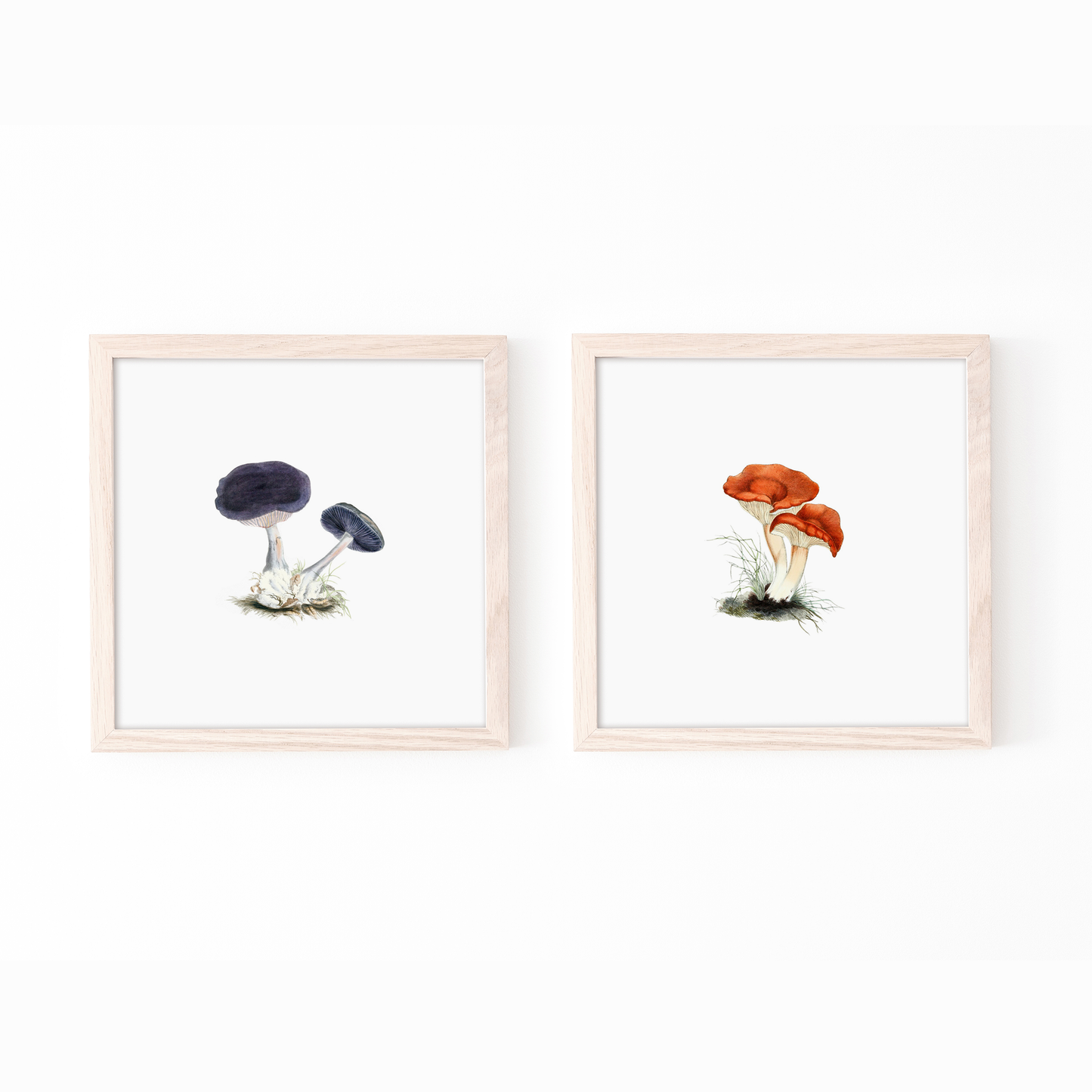 Vintage Mushroom Pair