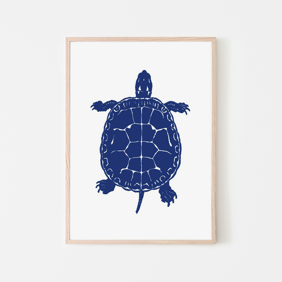 Vintage Turtle